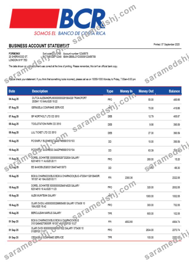 Costa Rican The Bank of Costa Rican bank organization checking account statement Word and PDF format
